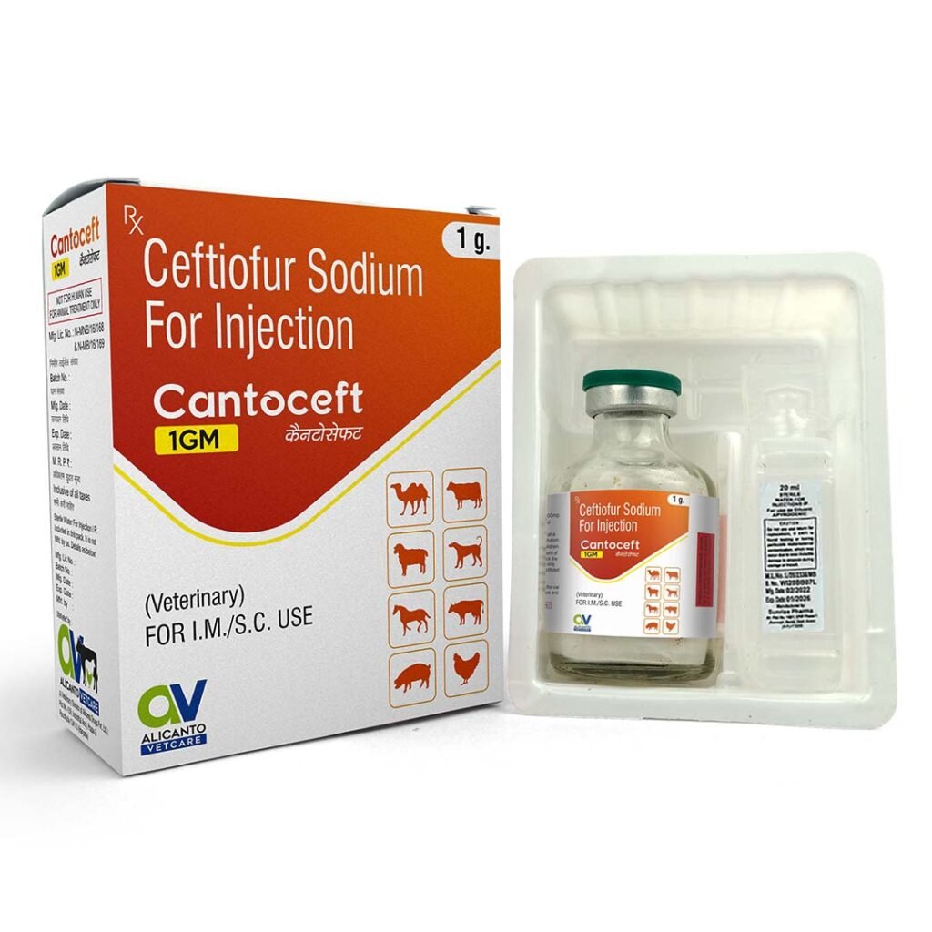 Veterinary Dry Injections Archives - Alicanto Vetcare