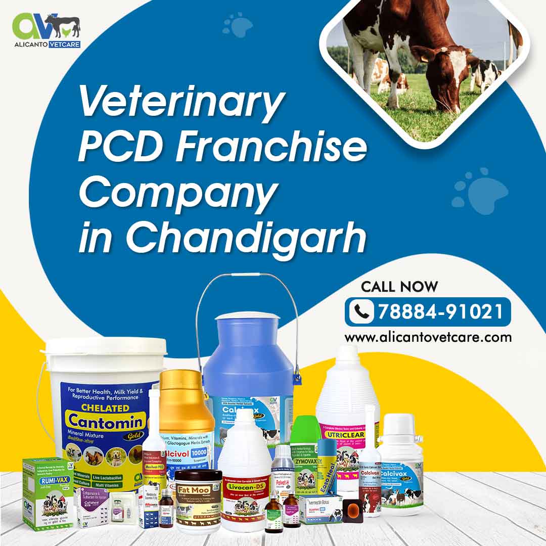 Veterinary PCD Franchise Company in Chandigarh